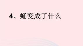 教科版三年级下册4.蛹变成了什么教课内容ppt课件