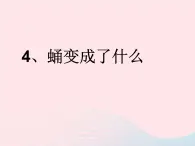 三年级科学下册第二单元动物的生命周期4蛹变成了什么课件3教科版