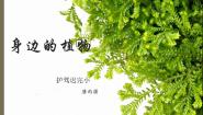 小学科学湘教版三年级上册1 身边的植物背景图课件ppt