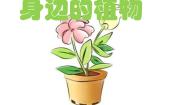 小学科学湘教版三年级上册1 身边的植物课堂教学课件ppt