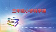 冀教版三年级下册7 光的传播示范课ppt课件