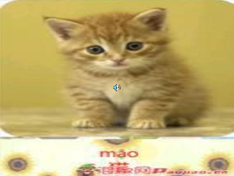 冀教版(三起)科学三年级下册第二单元4、物体传声-课件02