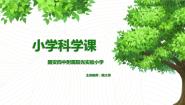 小学科学冀教版三年级下册第二单元 声6 声音与生活教案配套ppt课件