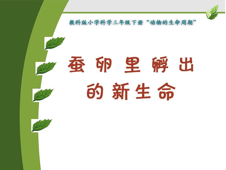 教科版(三起)科学三年级下册第二单元1、蚕卵里孵出的新生命 课件01