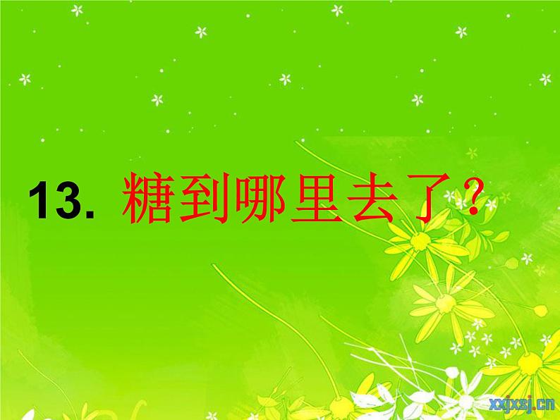 鄂教版(三起)科学三年级上册第二单元13、糖到哪里去了ppt03