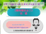 鄂教版（三起）科学三年级上册第二单元13、糖到哪儿去了 课件