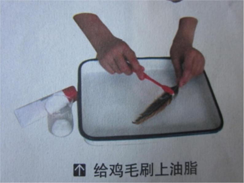 鄂教版(三起)科学三年级上册第四单元20、鸭与鸡 课件06
