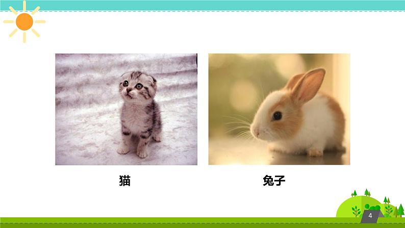 鄂教版(三起)科学三年级上册第四单元22《猫和兔》课件04