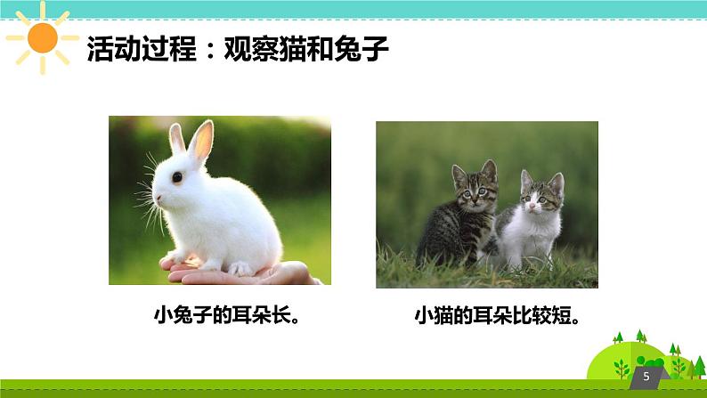 鄂教版(三起)科学三年级上册第四单元22《猫和兔》课件05