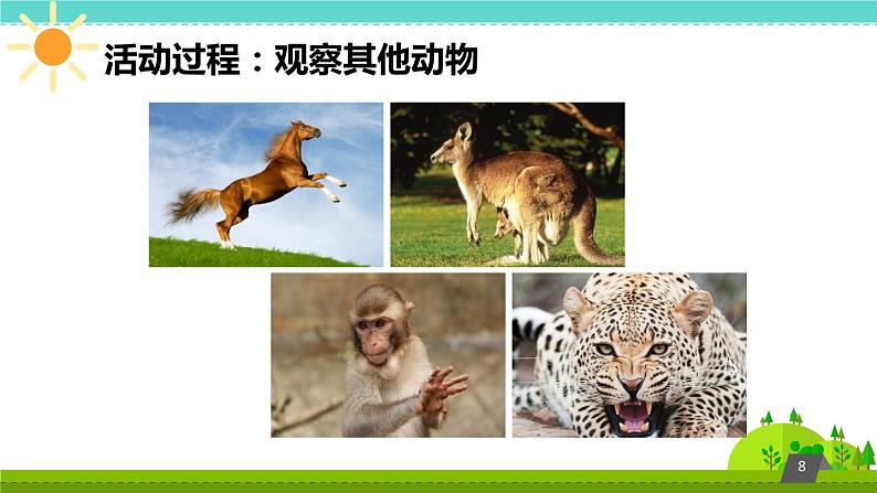 鄂教版(三起)科学三年级上册第四单元22《猫和兔》课件08