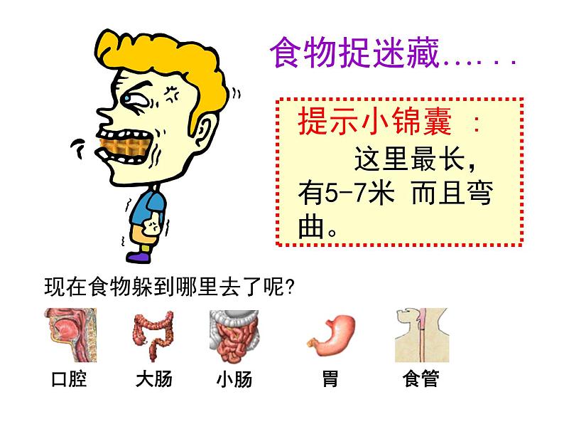 鄂教版(三起)科学三年级上册第一单元6、食物的消化 课件05