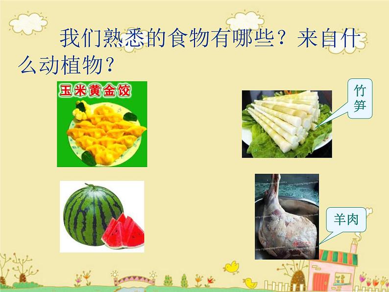 鄂教版(三起)科学三年级上册第一单元3-食物从哪里来 课件04