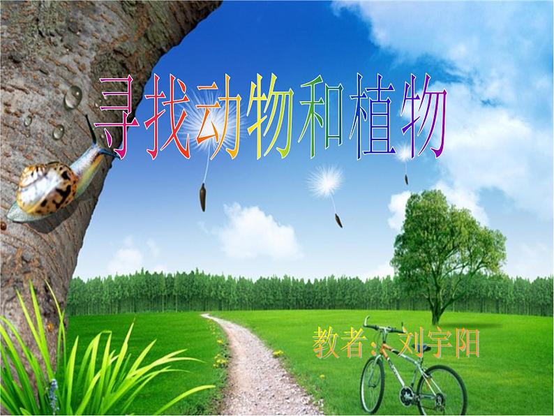 冀教版(三起)科学三年级上册3、寻找动物和植物 课件01
