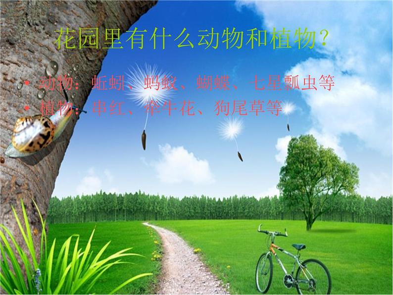 冀教版(三起)科学三年级上册3、寻找动物和植物 课件04