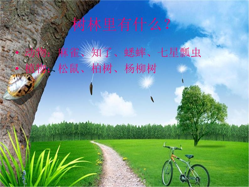 冀教版(三起)科学三年级上册3、寻找动物和植物 课件05
