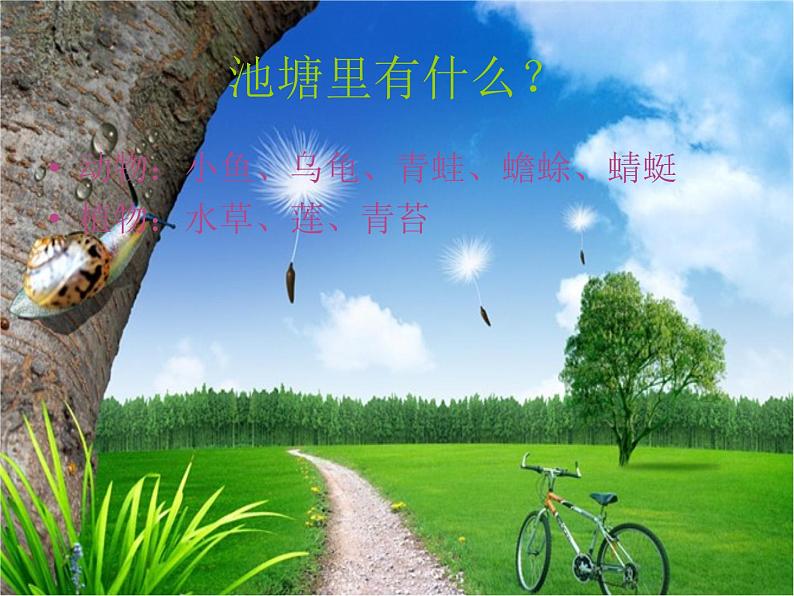 冀教版(三起)科学三年级上册3、寻找动物和植物 课件06