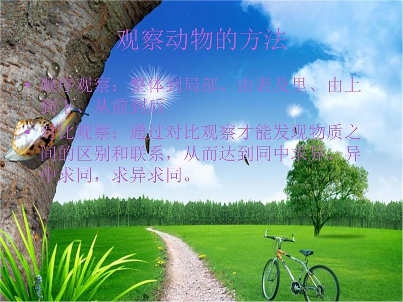 冀教版(三起)科学三年级上册3、寻找动物和植物 课件08