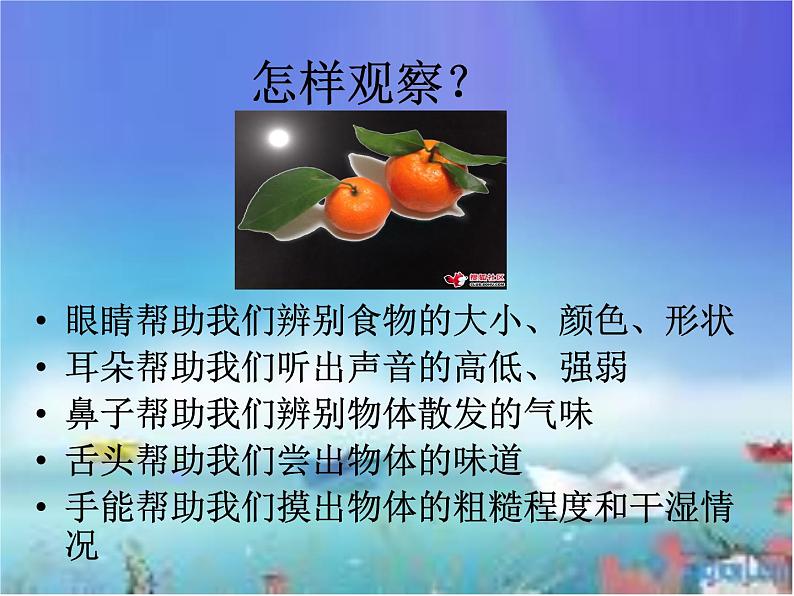 冀教版(三起)科学三年级上册3《寻找动物和植物》第3页