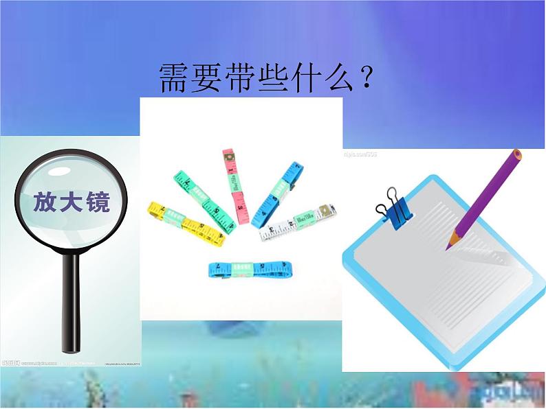冀教版(三起)科学三年级上册3《寻找动物和植物》第4页