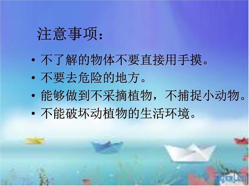 冀教版(三起)科学三年级上册3《寻找动物和植物》第5页