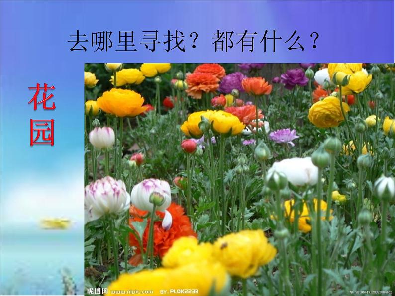 冀教版(三起)科学三年级上册3《寻找动物和植物》第6页