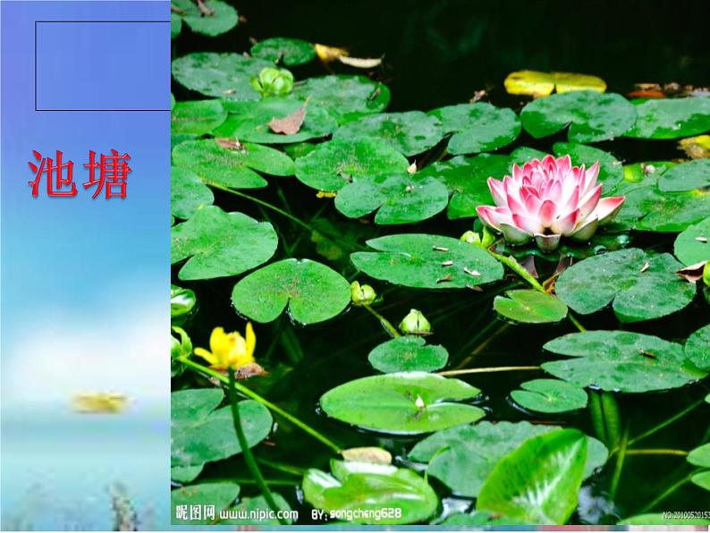 冀教版(三起)科学三年级上册3《寻找动物和植物》第8页