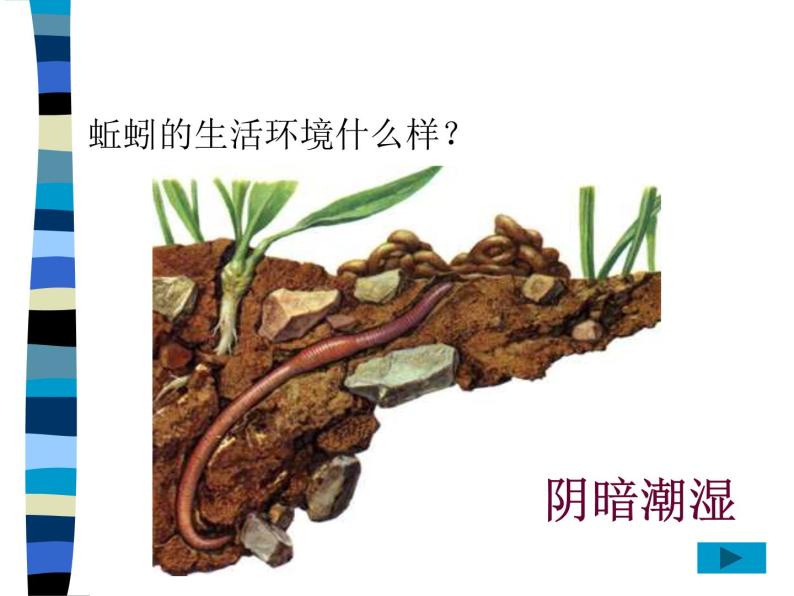 冀教版（三起）科学三年级上册4-蚯蚓 课件06