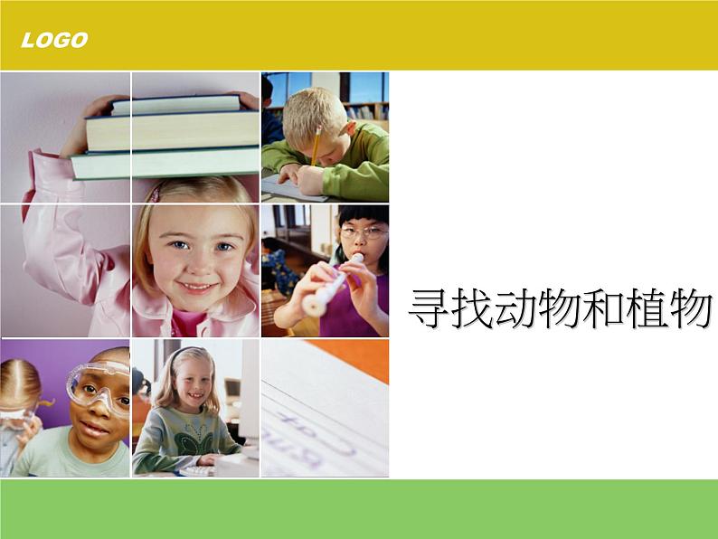 冀教版(三起)科学三年级上册3-寻找动物和植物-课件第1页