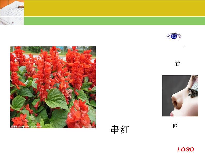 冀教版(三起)科学三年级上册3-寻找动物和植物-课件第2页