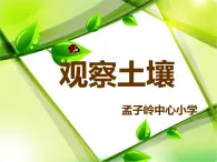 冀教版（三起）科学三年级上册6、观察土壤 课件PPT