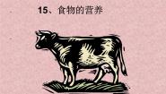 三年级上册15 食物的营养授课课件ppt
