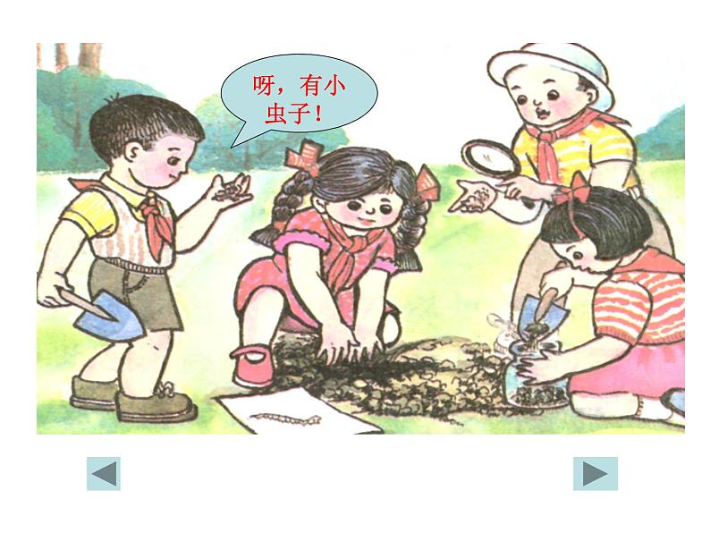冀教版(三起)科学三年级上册6-观察土壤 课件06
