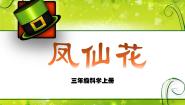 冀教版三年级上册5 凤仙花教学演示课件ppt