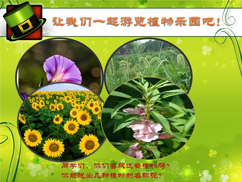 冀教版(三起)科学三年级上册5、凤仙花第2页