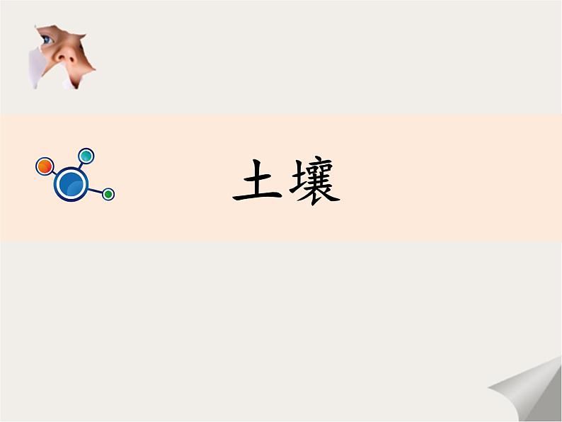 教科版(2017秋)二年级上册科学第一单元2《土壤——动植物的乐园》教学课件03