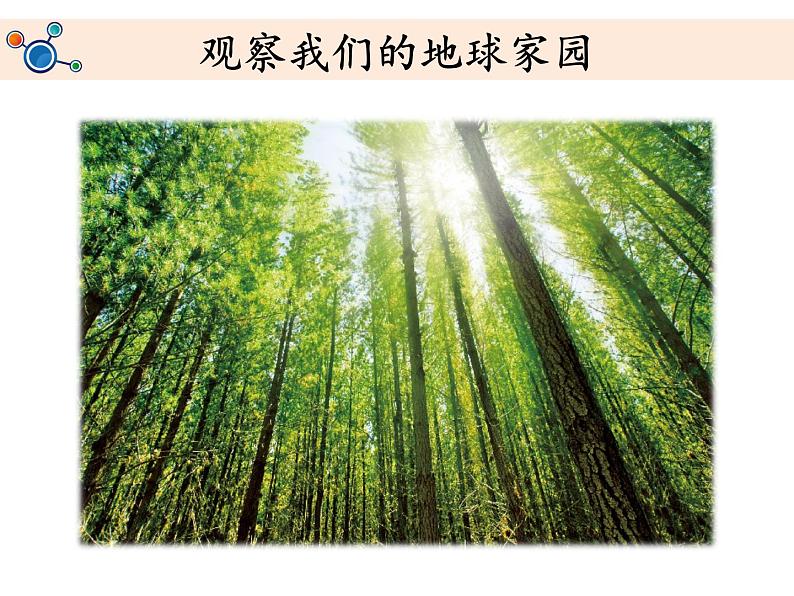 教科版(2017秋)二年级上册科学第一单元1《地球家园中有什么》教学课件第7页