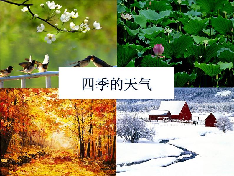 苏教版(2017秋)科学二年级上册第一单元3《四季的天气》 课件01