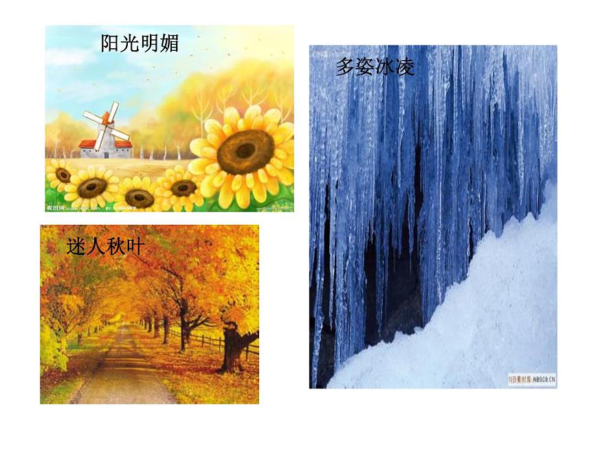 鄂教版（2017秋）二年級(jí)下冊(cè)科學(xué)第一單元2《天氣與生活》課件第5頁