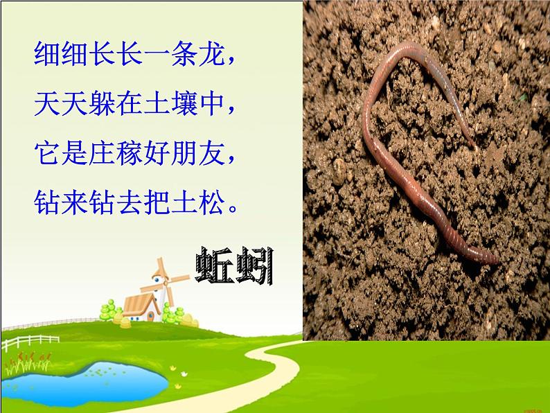 二年级下科学课件《寻访土壤中的小动物》课件2_苏教版(2017秋)01
