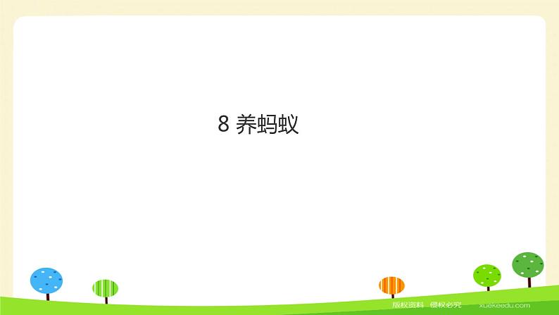 二年级下科学课件《养蚂蚁》课件1_苏教版(2017秋)01