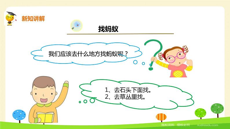 二年级下科学课件《养蚂蚁》课件1_苏教版(2017秋)04