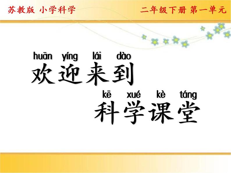 二年级下科学课件1.认识常见材料_苏教版(2017秋)第1页