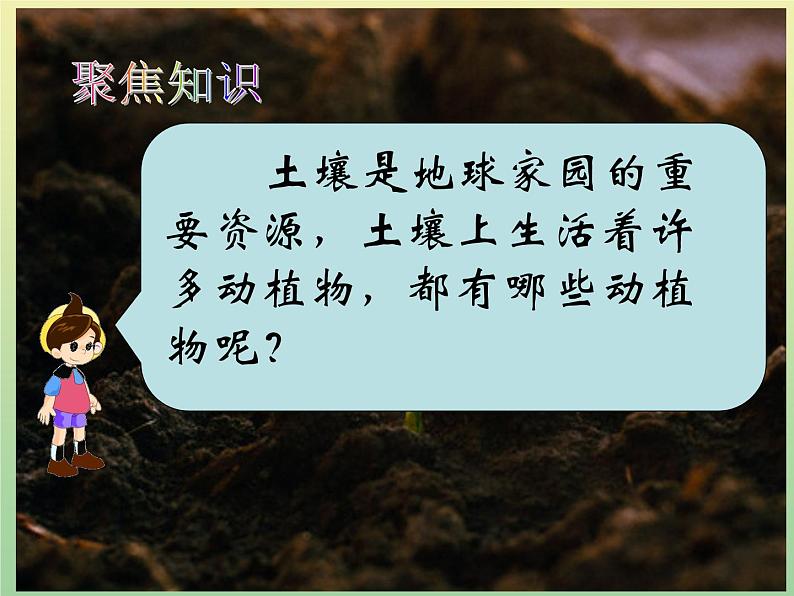 二年级科学上册第1单元我们的地球家园2土壤_动植物的乐园课件教科版第4页