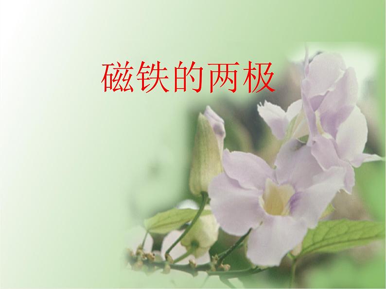 二年级科学下册第一单元磁铁3《磁铁的两极》课件教科版第2页