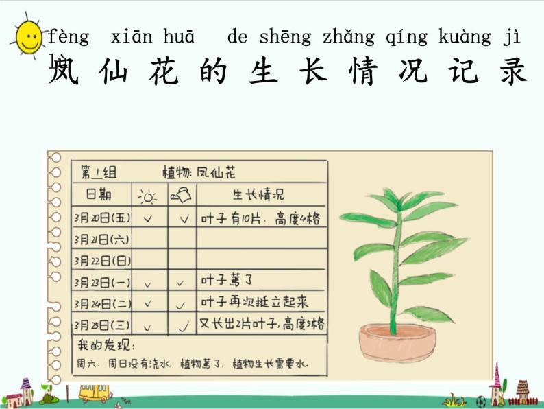 湘教版二年级下册科学2.2植物在生长课件ppt09