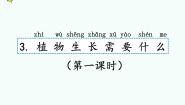 科学二年级下册第二单元 植物的生长3 植物生长需要什么精品课件ppt