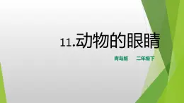 11.《动物的眼睛》PPT课件_科学二年级下册