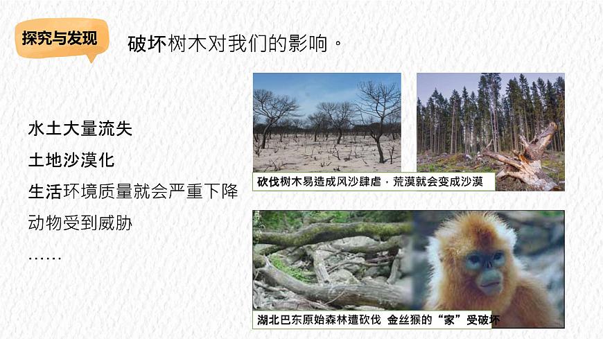 冀人版科學二年級下冊5做個綠色小使者課件第8頁
