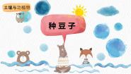 小学科学冀人版 (2017)二年级下册土壤与动植物9 种豆子精品课件ppt