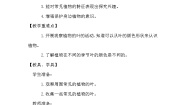小学科学青岛版 (六三制2017)一年级下册10 看叶认植物教学设计
